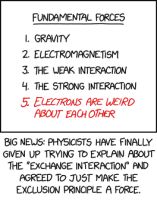 Fermions are weird about each other in a standoffish way. Integer-spin particles are weird about each other in a 'stand uncomfortably close while talking' kind of way.