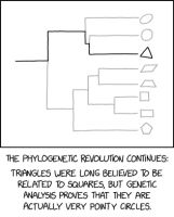 There's a maximum likelihood that I'm doing phylogenetics wrong.